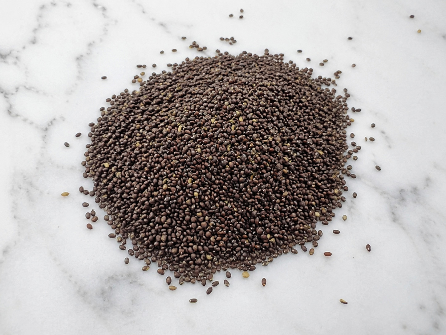 3,000 Heirloom Catnip Seeds – Nepeta cataria -Stunning Speckled Aromatic Flowers
