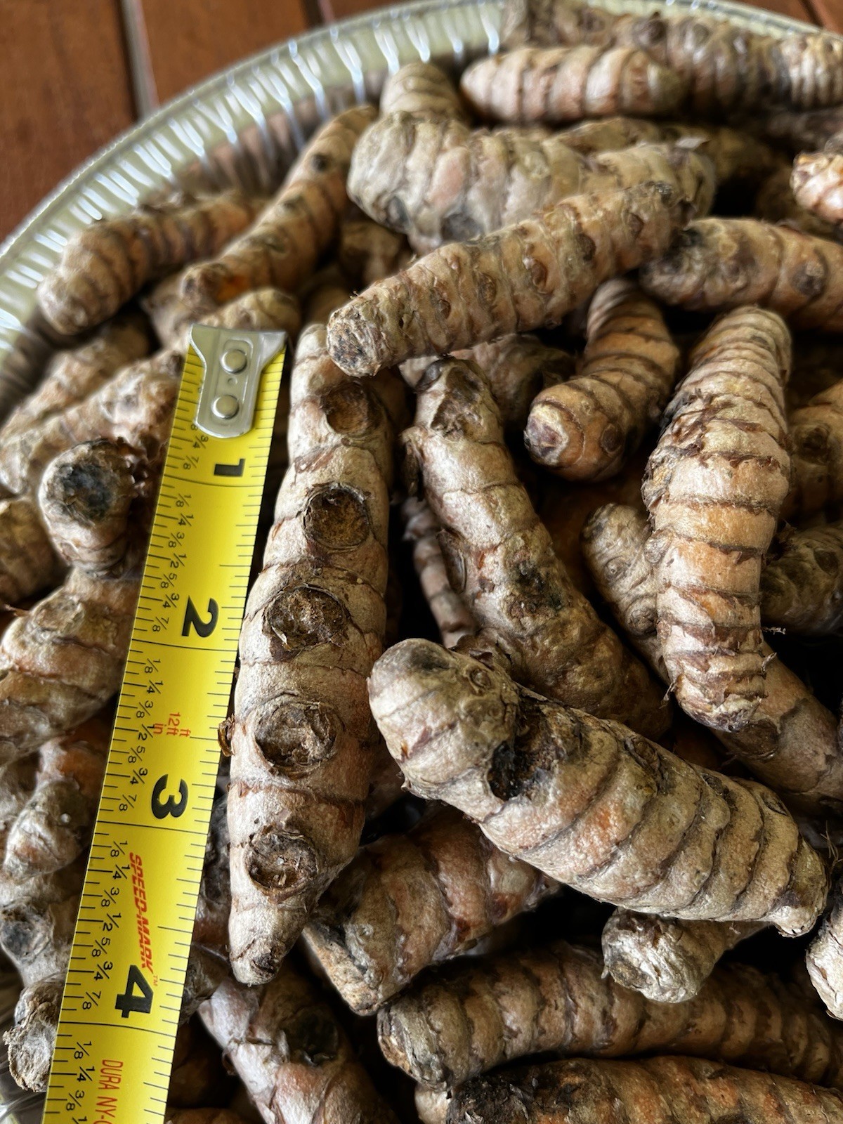10 PCs Turmeric Roots Curcuma Longa Ready To Plant 1-2” with growth