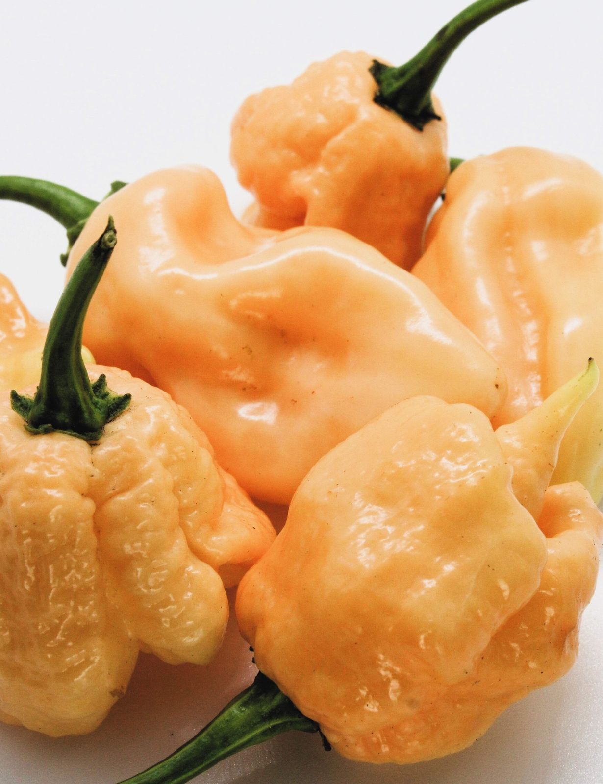10 Peach CAROLINA REAPER PEPPER World’s Hottest Capsicum Chinense Chili Seeds
