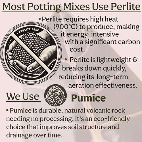 Organic Potting Mix for Indoor Plants – Well-Draining Soil, Chunky & Peat-Free,