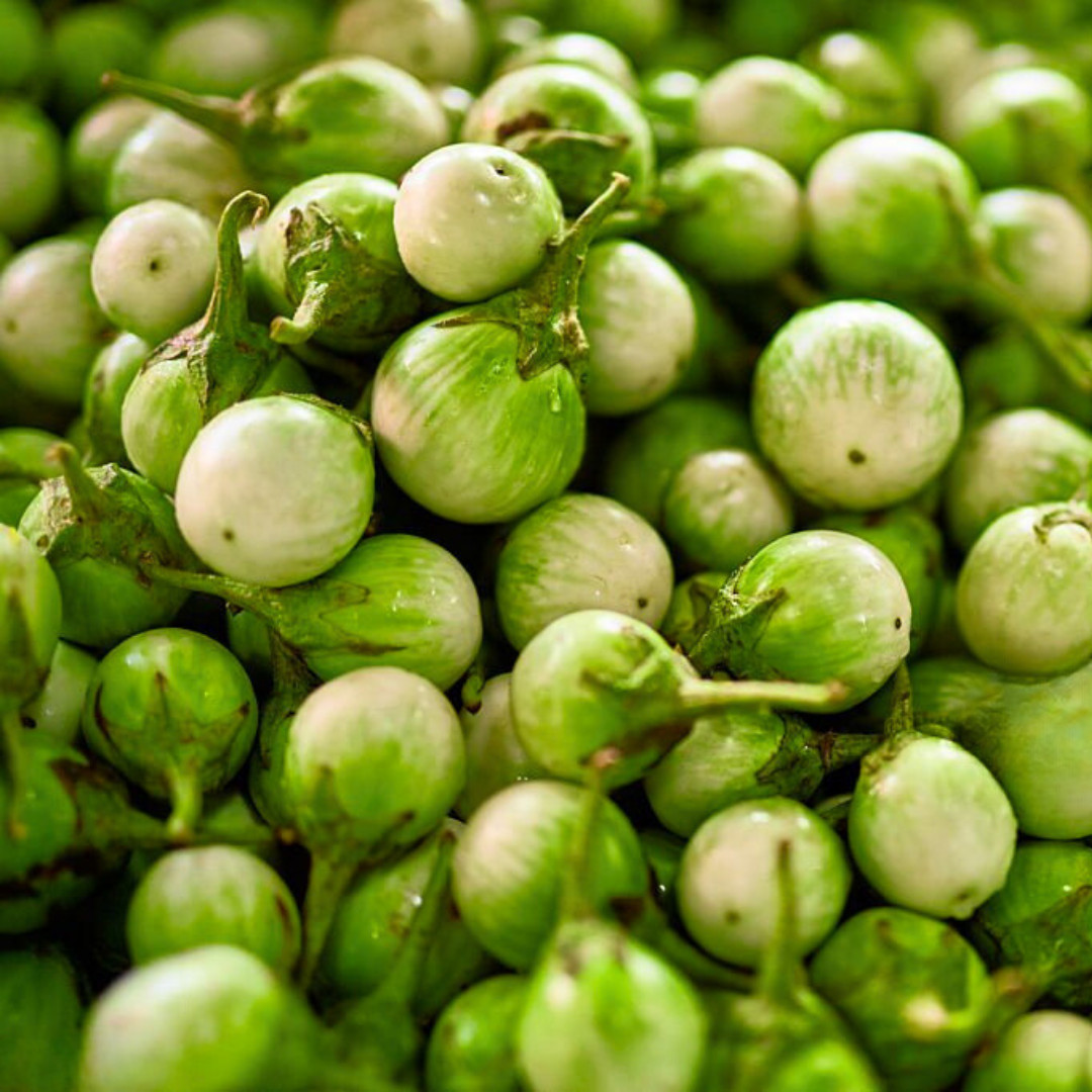 Fresh Thai Eggplant Seeds | Ngai Gwa | Heirloom Non-GMO | Asian Vegetable Seeds