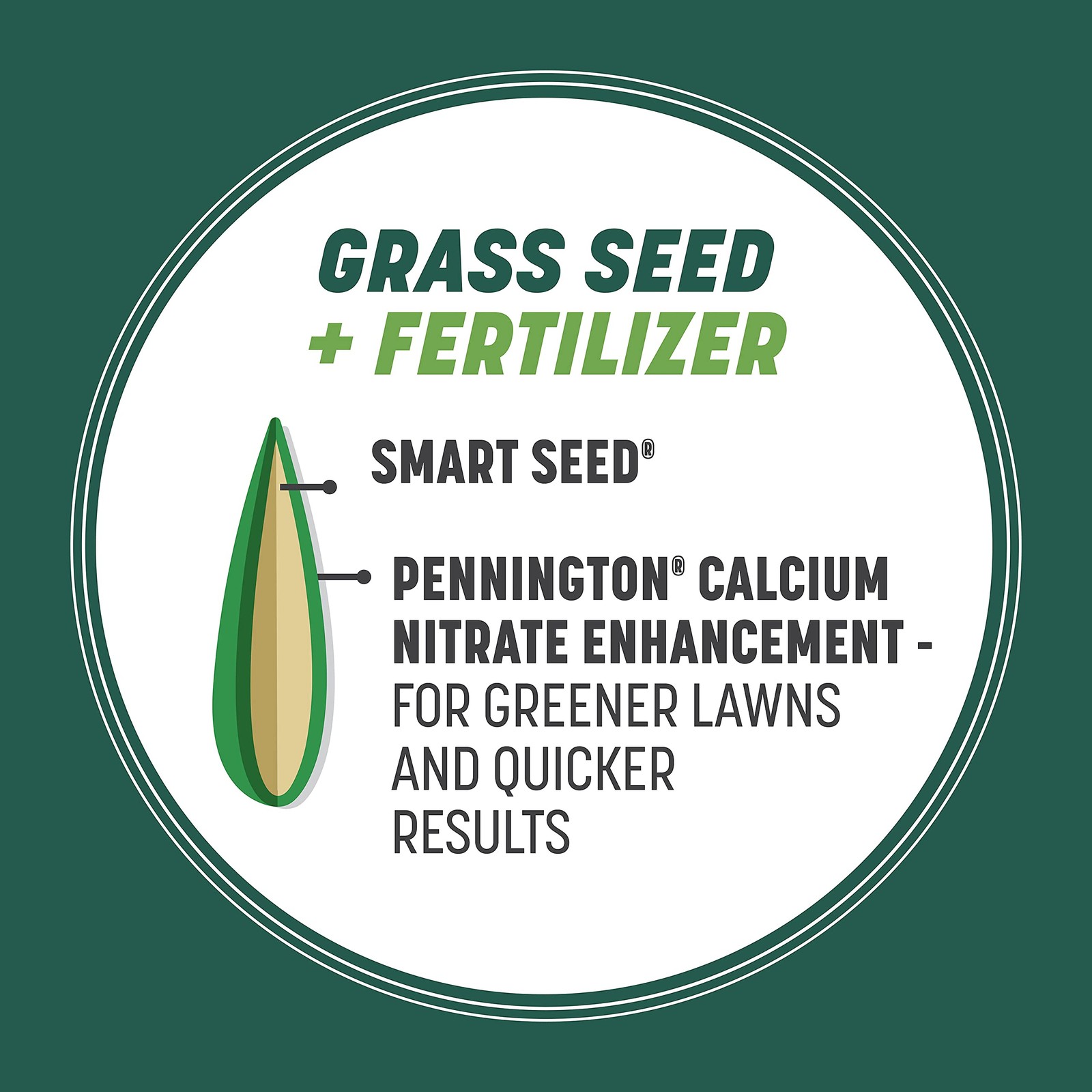 Pennington Smart Seed Sun And Shade Tall Fescue Grass Seed Mix For Southern
