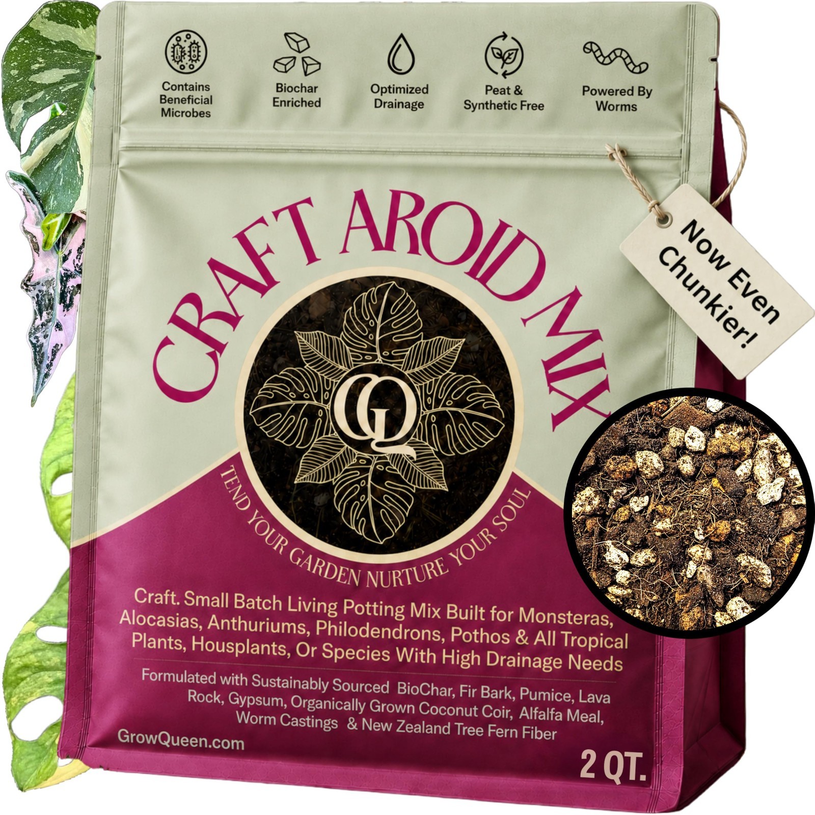 Organic Potting Mix for Aroids – Well-Draining Soil for Alocasia, Monstera, Phil