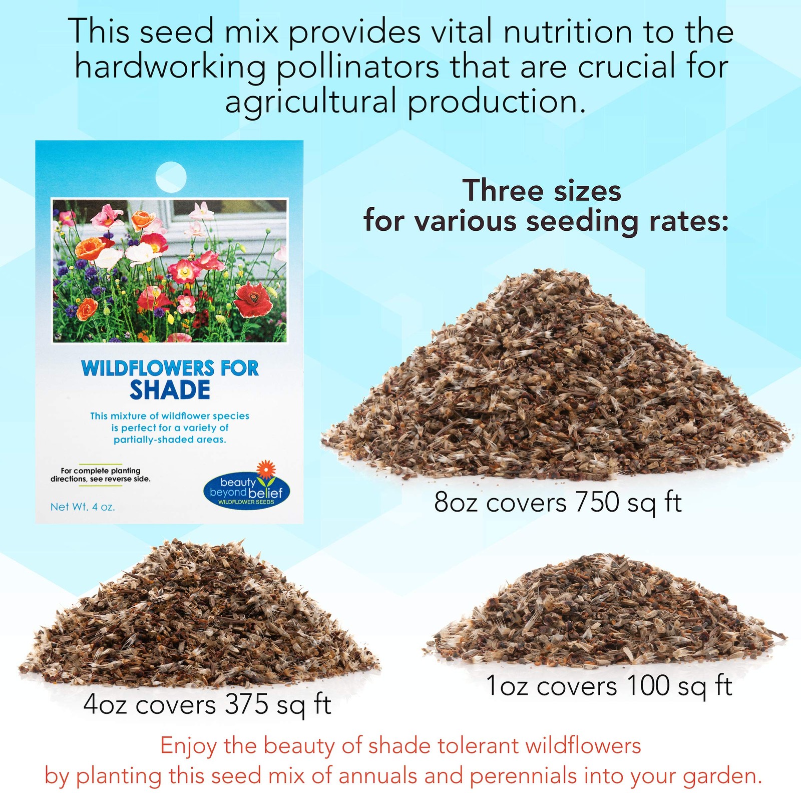 Partial Shade Wildflower Seeds Mix 4oz OpenPollinated Annual & Perennial