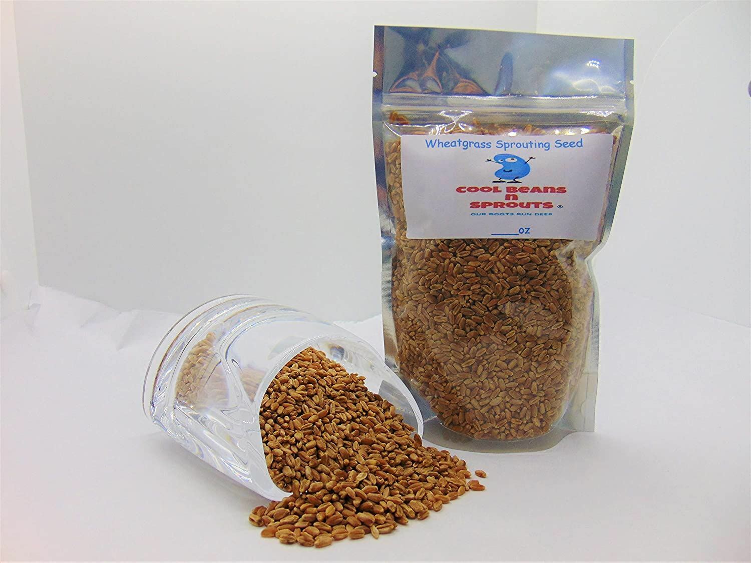 Wheatgrass Seeds for Sprouting Microgreens, COOL BEANS N SPROUTS,