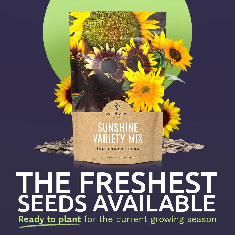 Bulk Sunflower Seeds Variety Mix 10 Types for Planting 1/4 Pound Bag