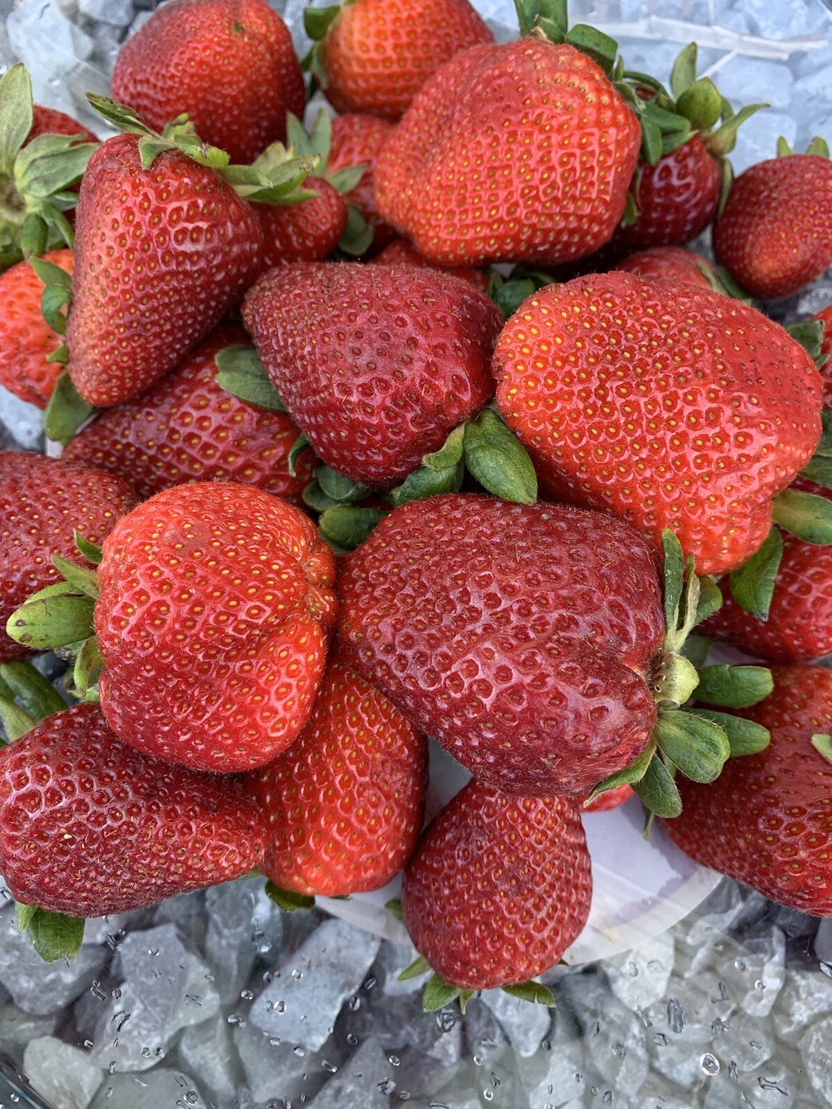25++ Mixed strawberry seeds | Everbearing – Fragaria, Fruit seeds – USA