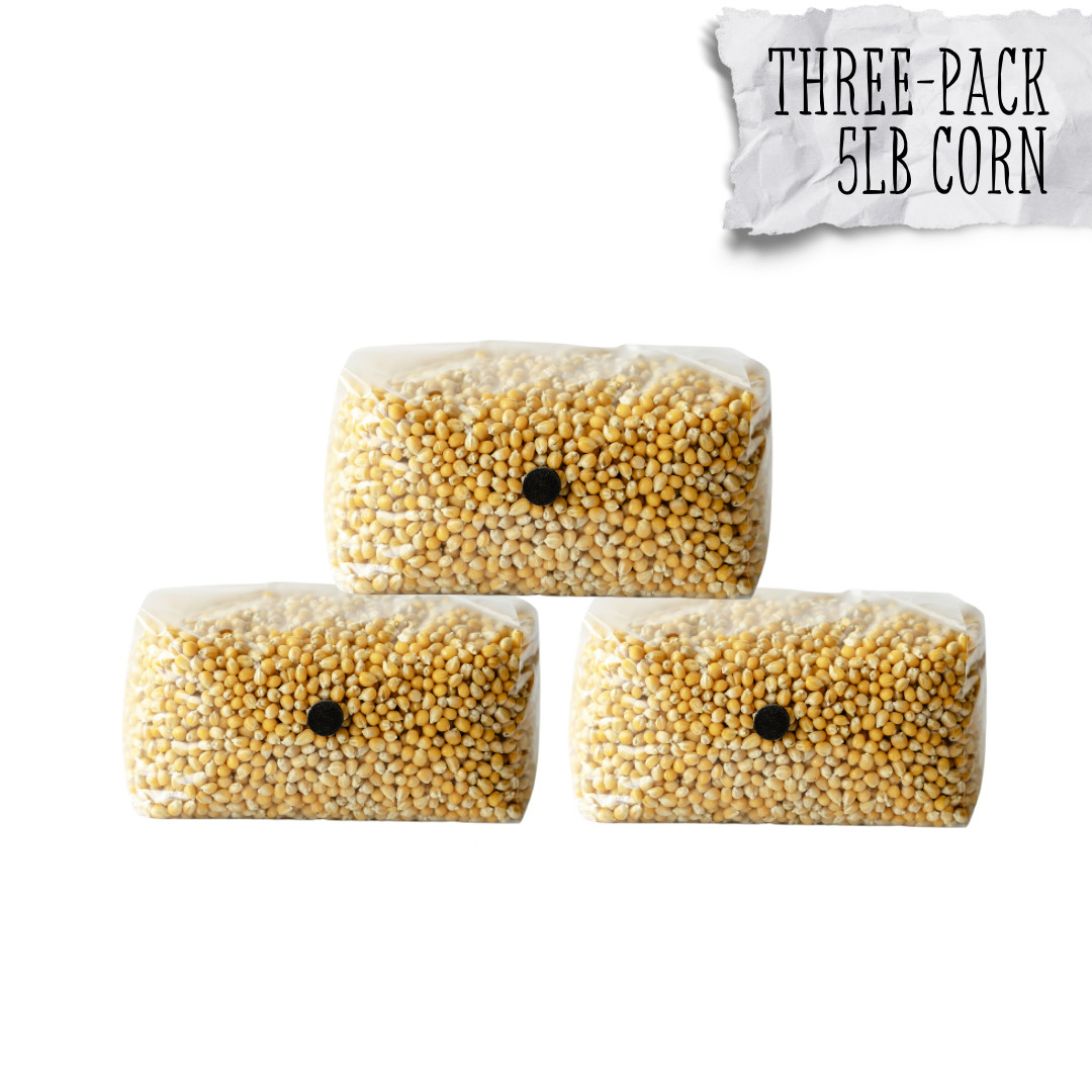 3 Pack | 5lb Drippy Corn Grain Spawn