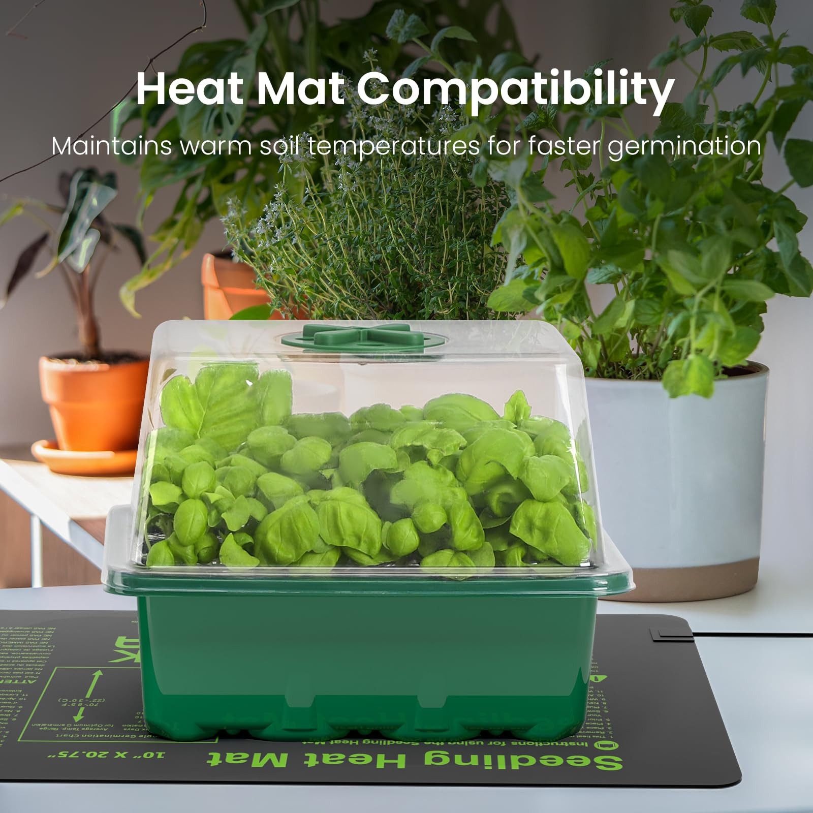 MIXC Seed Starter Kit with Grow Light, 12 Cells With Light-4 Packs, Green