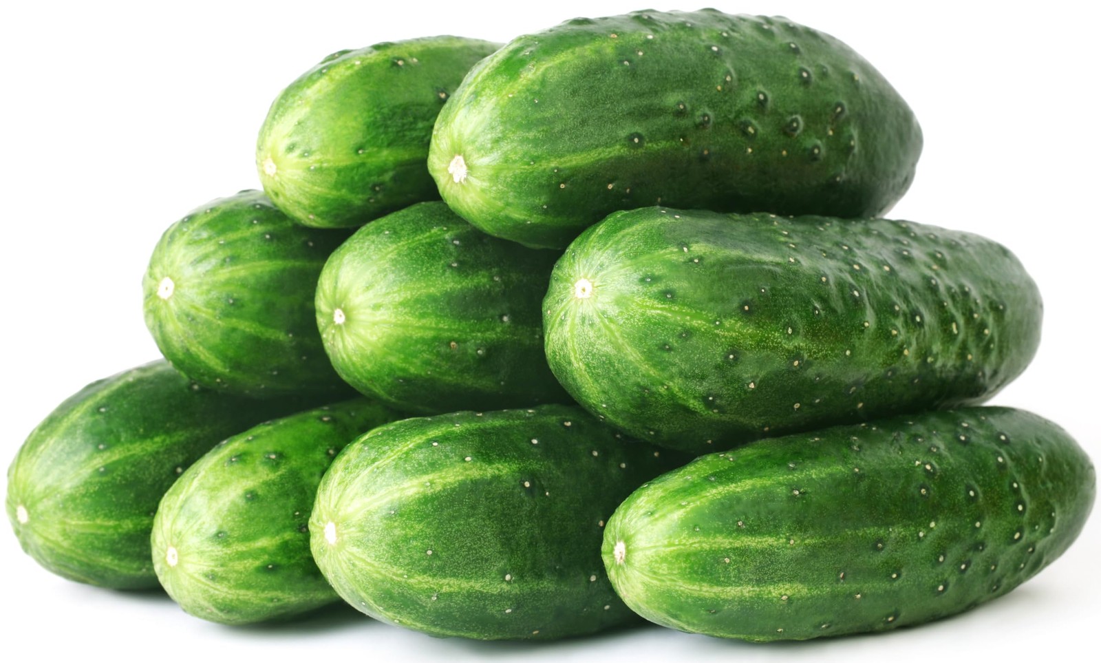50 Straight Eight Cucumber Seeds – Heirloom Non-GMO USA Grown Vegetable Green