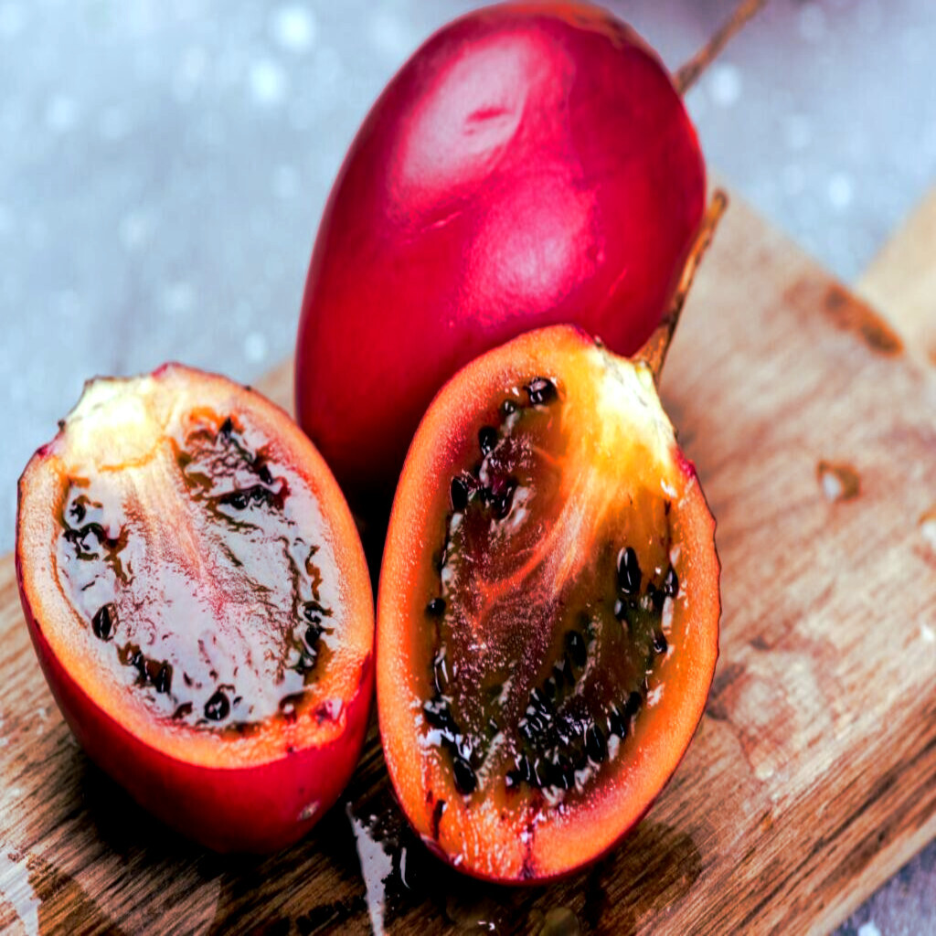 Tamarillo Tree Tomato Seeds Yields 60+lbs of Garden Fruit! Fast Growing Plant