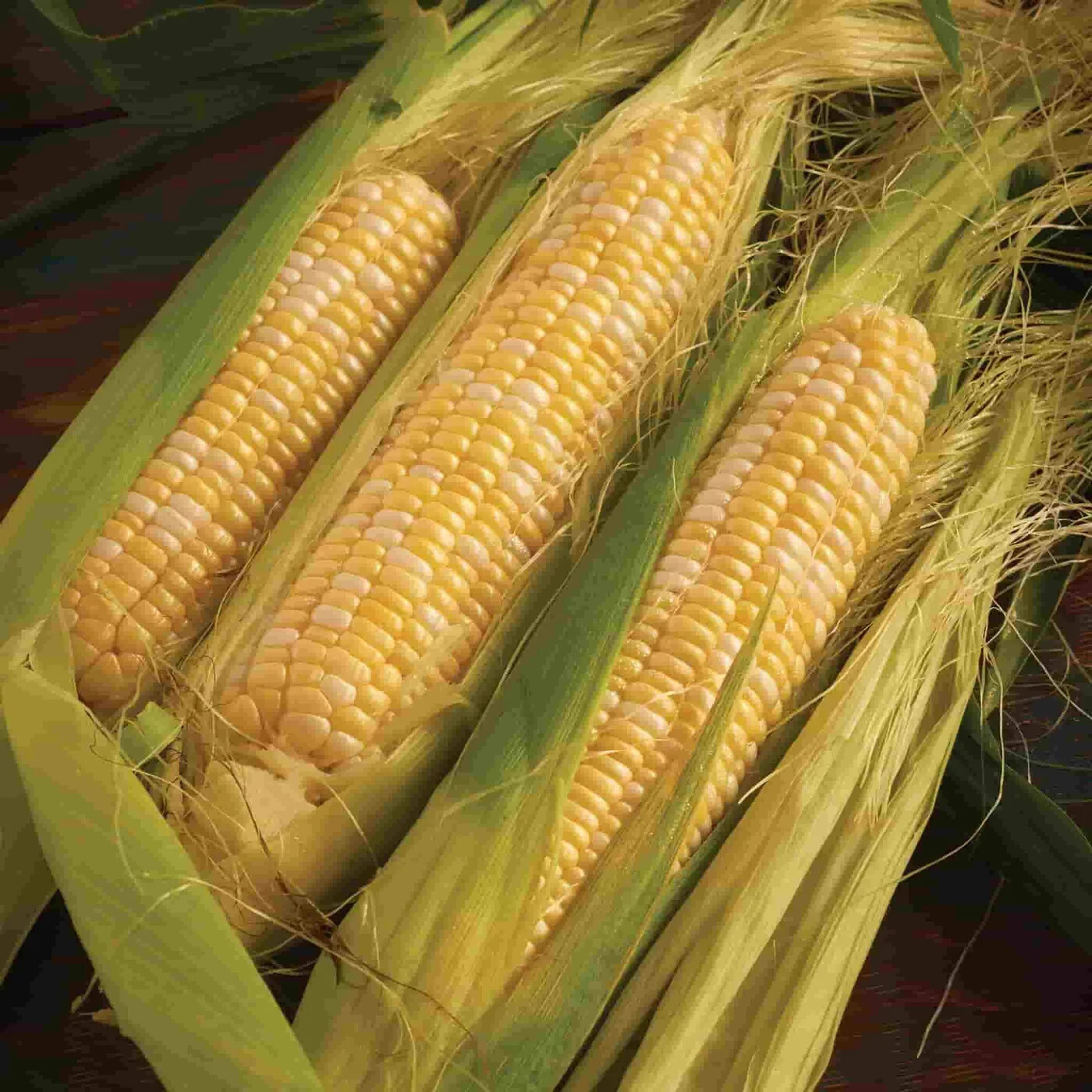 15+ Peaches & Cream Corn Seeds | Non-GMO | Hybrid | Fresh Garden Seeds from USA