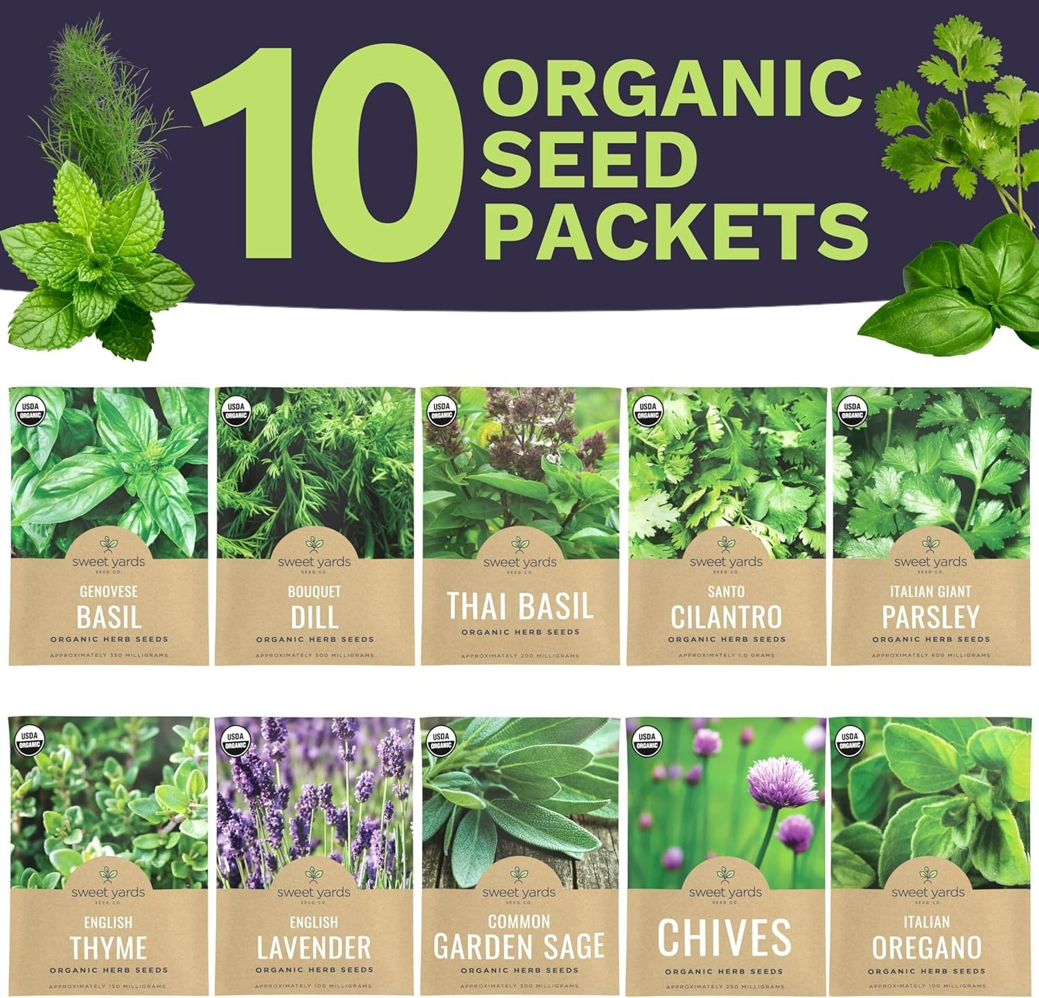 Culinary Herb Seeds Variety Pack – 10 Organic Herbs with High Germination Rates
