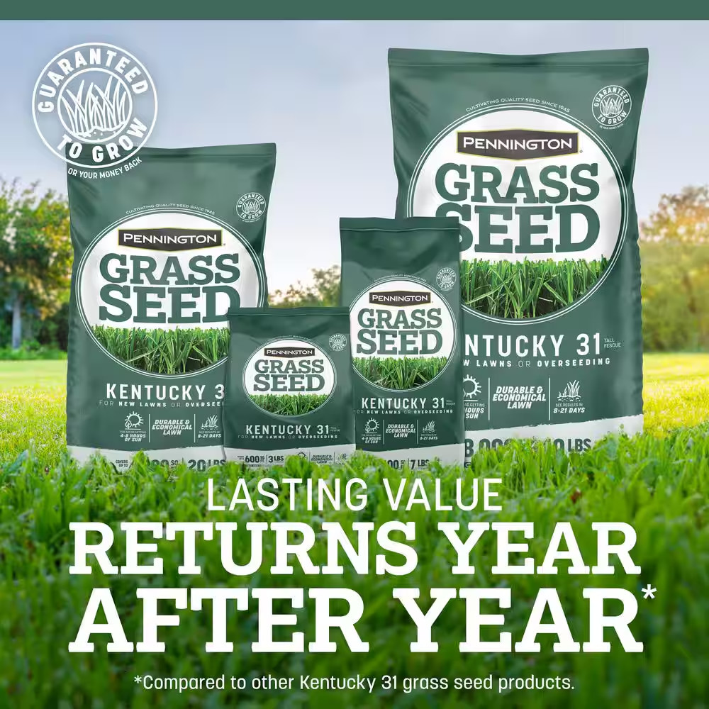 Kentucky 31 Tall Fescue 20 Lb. 4,000 Sq. Ft. Grass Seed