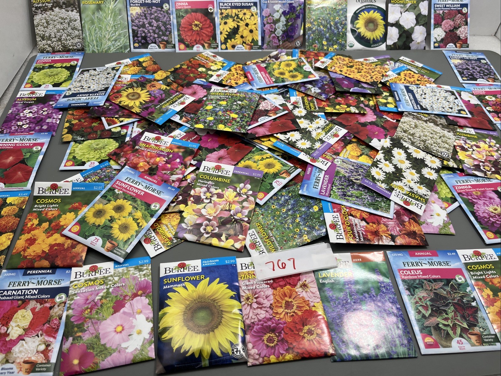 Flowers annual perennial Plant Seeds (Assorted Lot of 100) sell by 11/26 Garden