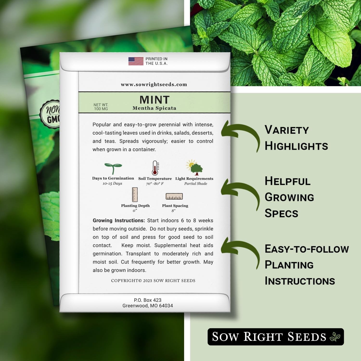 Sustainable Mint Seeds – Non-GMO Heirloom Variety for Flavorful Cooking & Tea