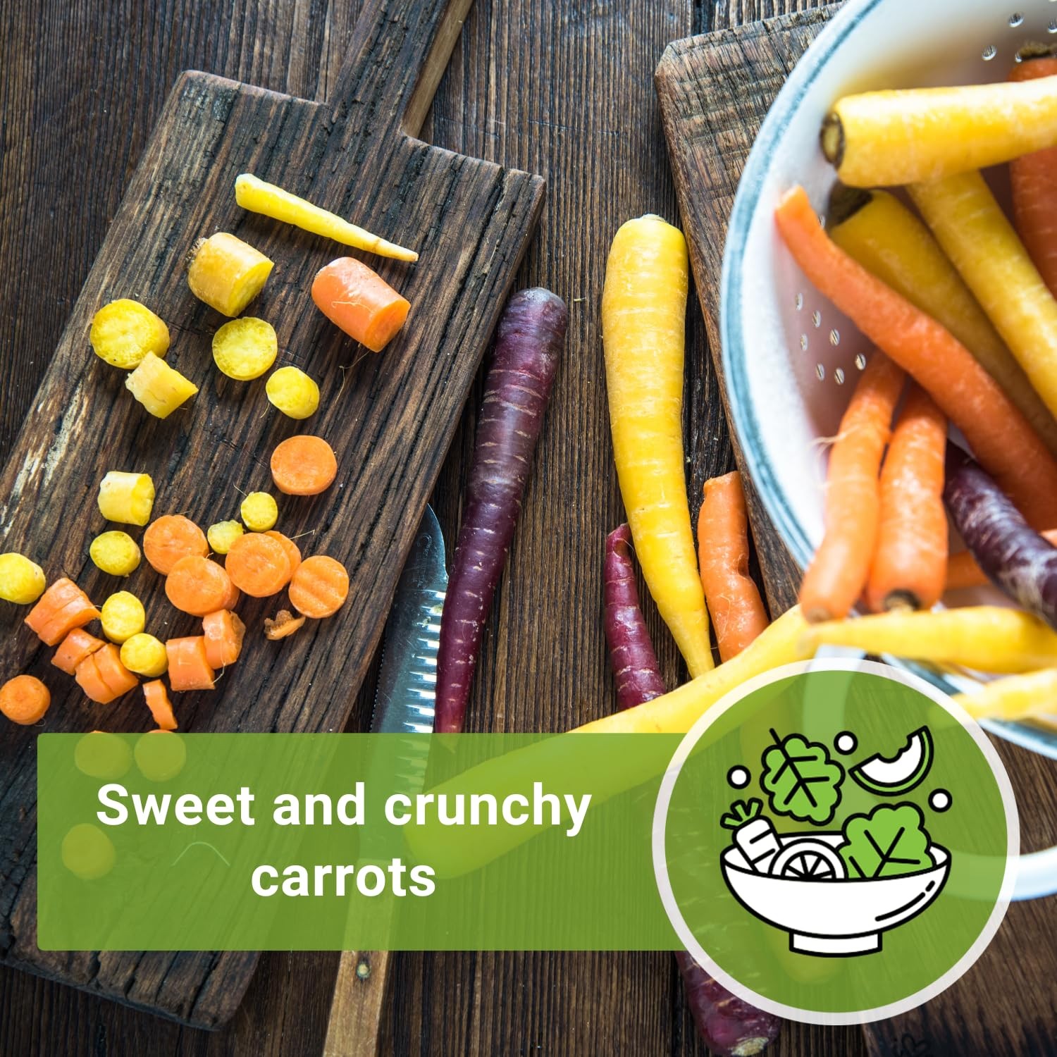 Rainbow Carrot Seeds – Non-GMO Heirloom Mix for Colorful Home Garden Planting