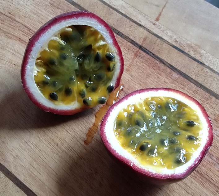 ~POSSUM PURPLE Passion Fruit~Live Starter Plant ~Passiflora edulis~ Self Fertile