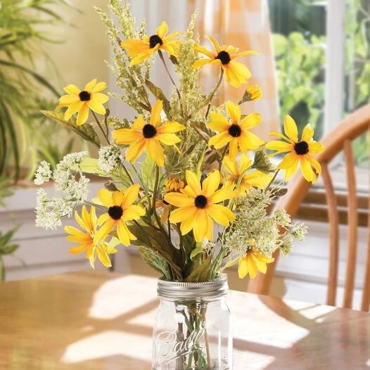50pcs Black-Eyed Susan Flower Seeds Big Sunflower Blooms Indian Summer Sunshine