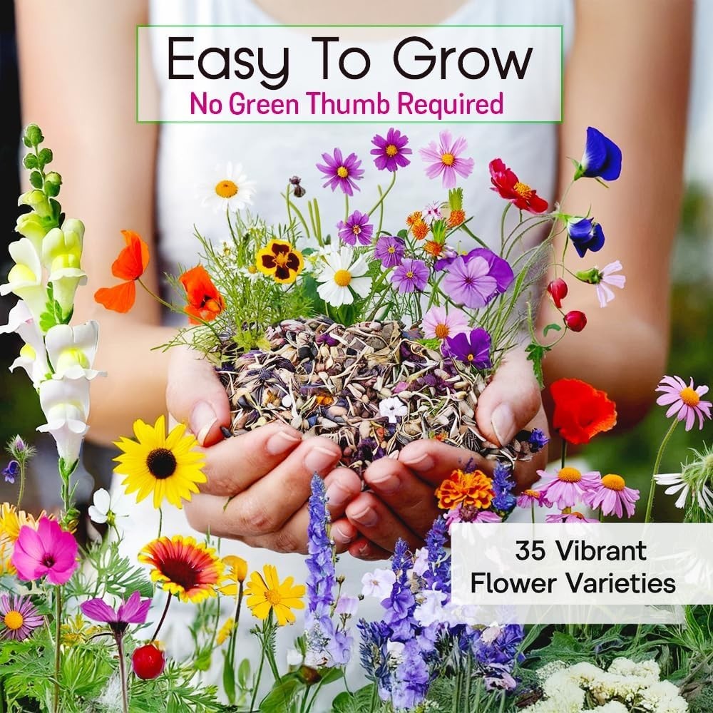 Wildflower Seeds, 1/2 lb, 340,000 Seed, 35 Variety Perennial & Annual Flower …