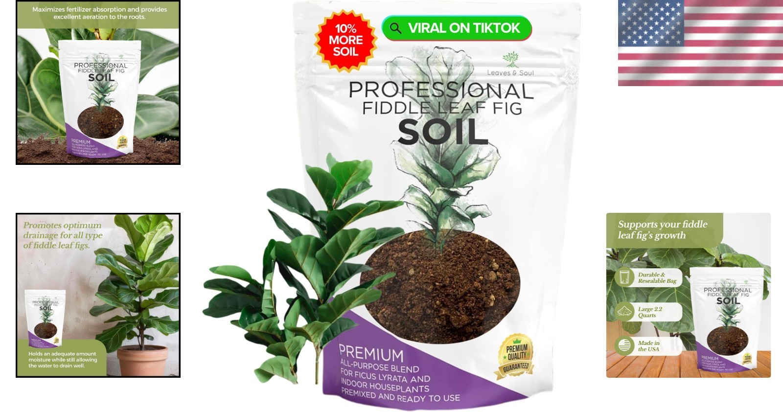 Fiddle Leaf Fig Soil Blend – 2.2 Quarts Ready to Use for Houseplants