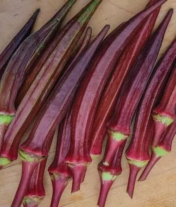 100+ Red Burgundy Okra Seeds – NON GMO — Heirloom — FRESH