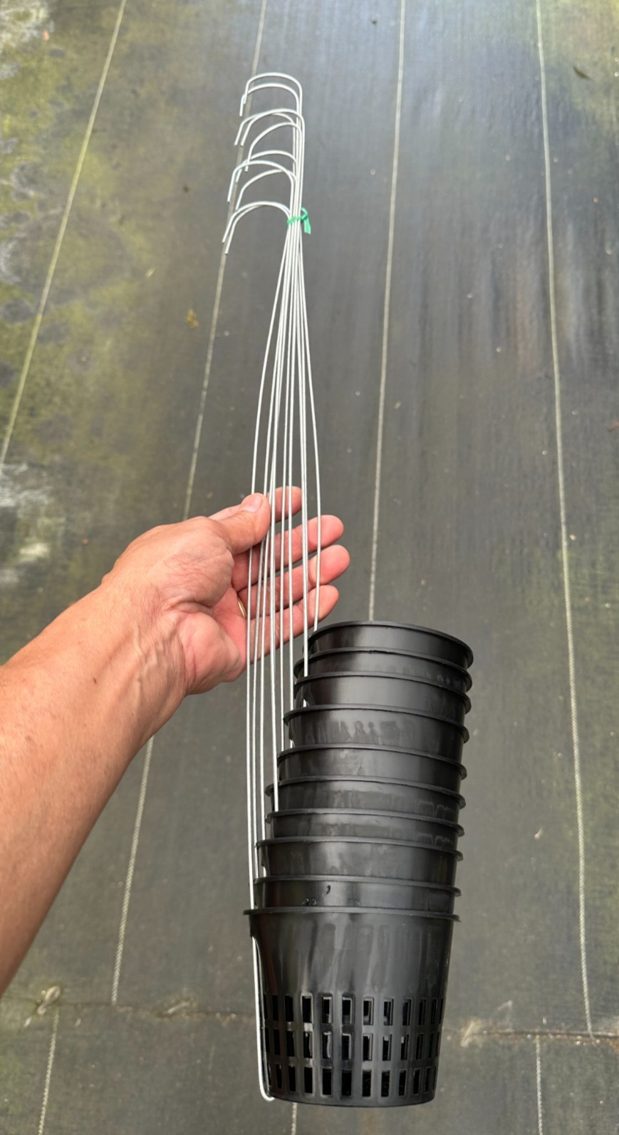 10 PACK 4 INCHES NET POTS WITH SINGLE HANGING WIRE