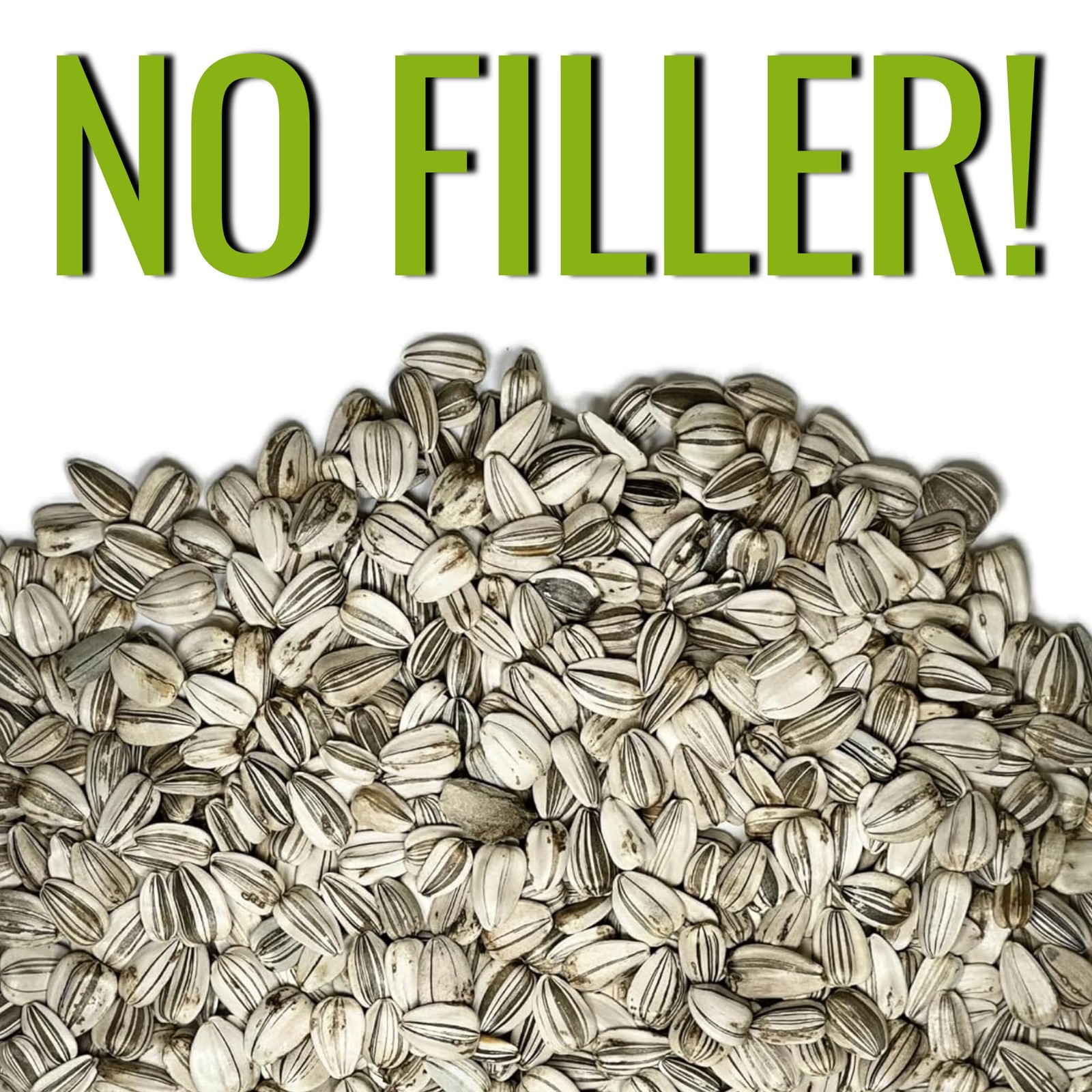 Seed Needs Sunflower Seeds to Plant 600+ Mammoth Grey Stripe Seeds | Heirloom Se