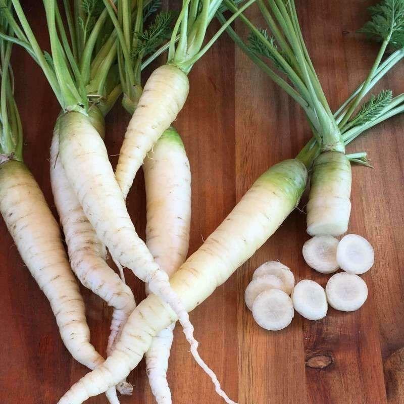 Lunar White Carrots 300 – 32,000 Seeds Coreless RARE Bulk Tastiest Wholesale