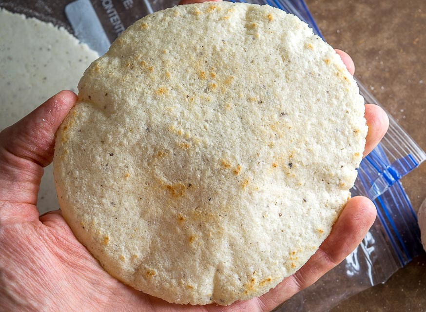 Oaxacan Olotillo White MEXICAN HEIRLOOM Corn Seeds (30) / TORTILLA CORN / RARE