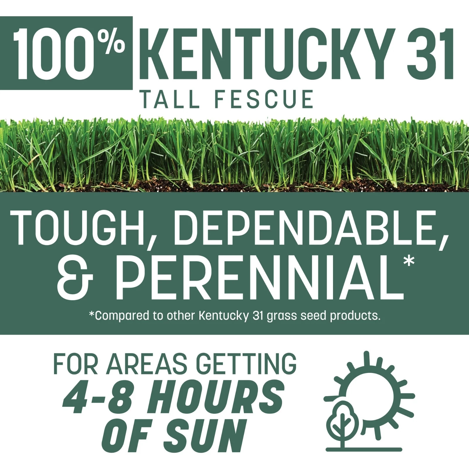 Pennington Kentucky 31 Tall Fescue Grass Seed Sun to Partial Shade 20 lb New