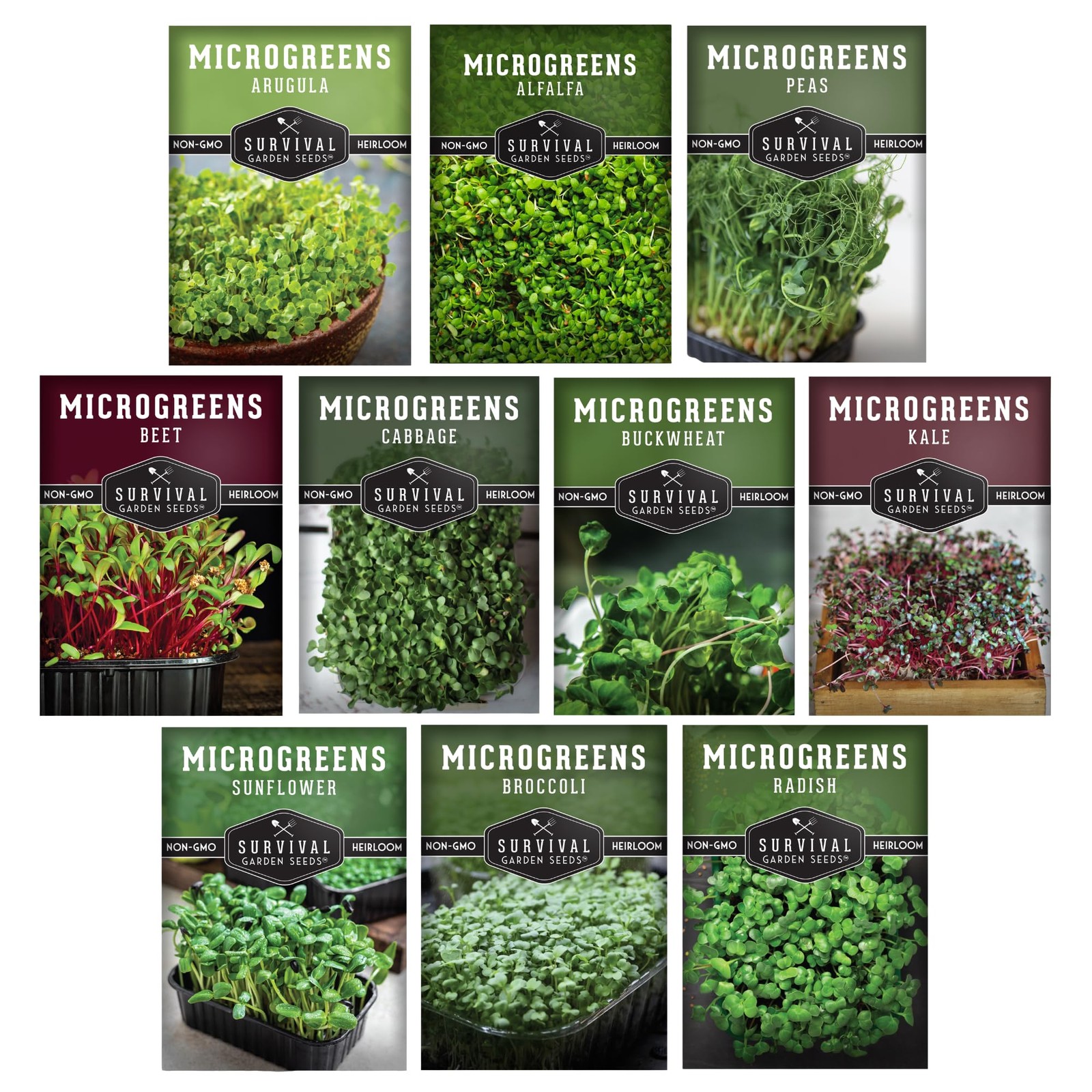 Microgreen Seeds Variety Pack – 10 Heirloom Types for Indoor Sprouting Green