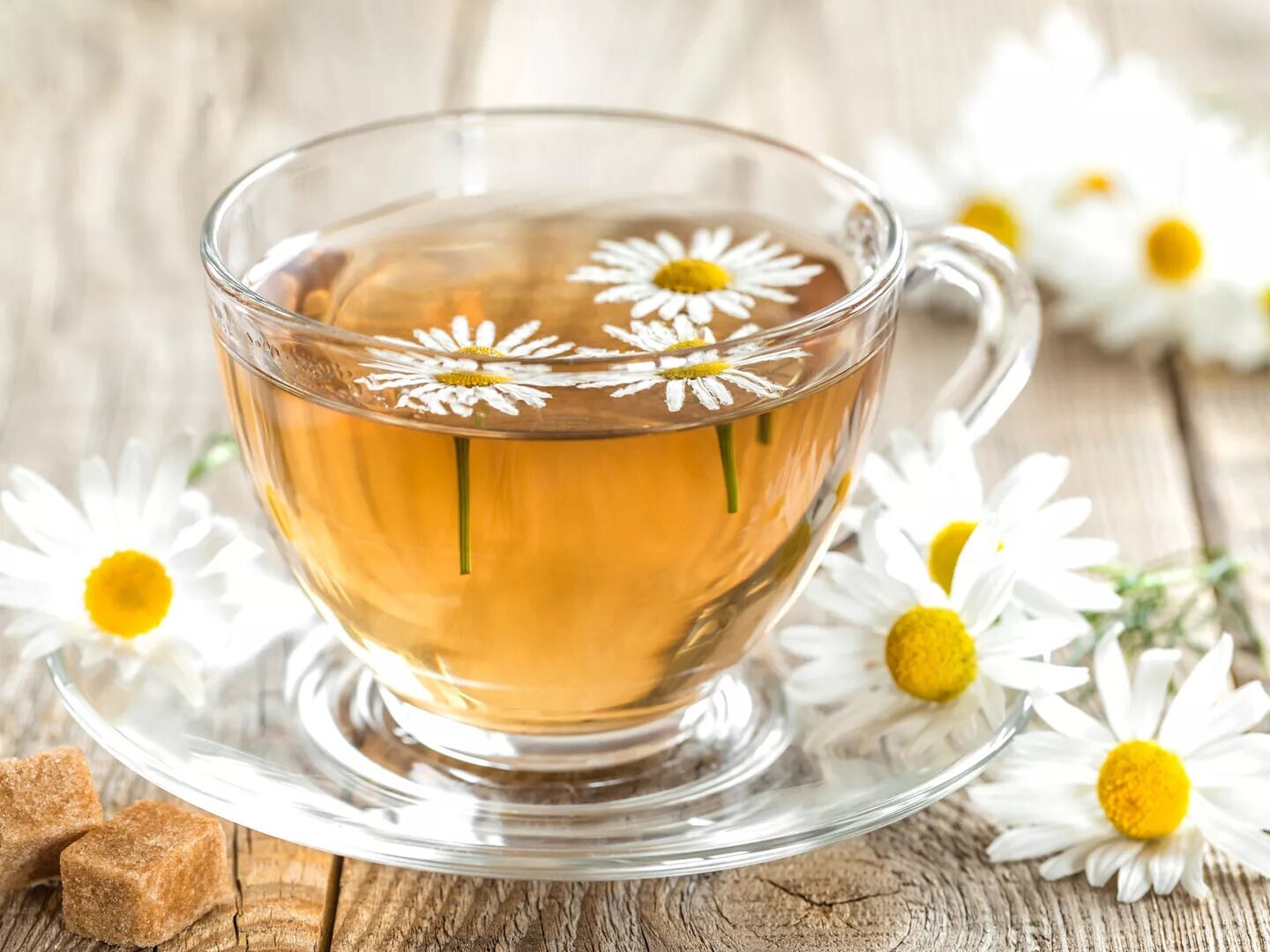 German chamomile | Aromatic Tea Herb | Matricaria Chamomilla | 200+ SEEDS