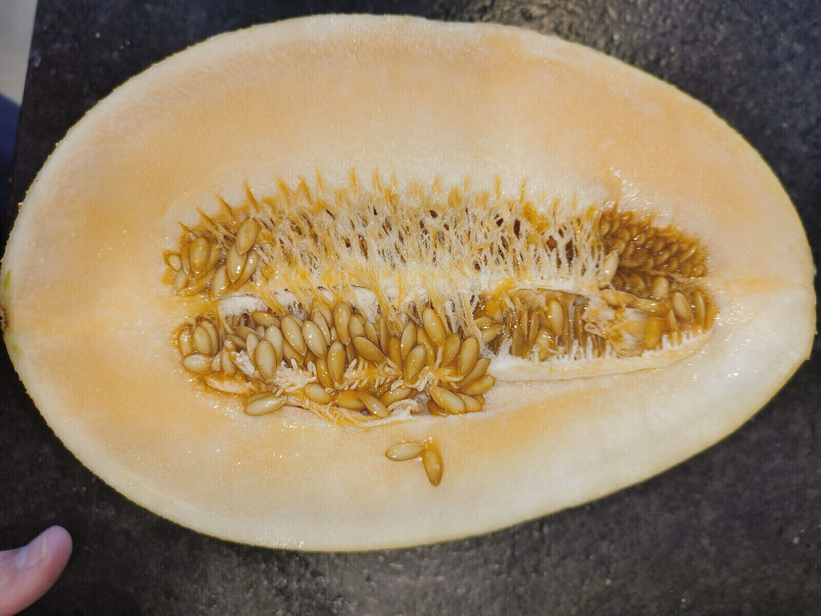 20 F1 Hybrid Giant Ananas Melon Seeds 10 Pound Giant Melon – Unmatched Sweetness