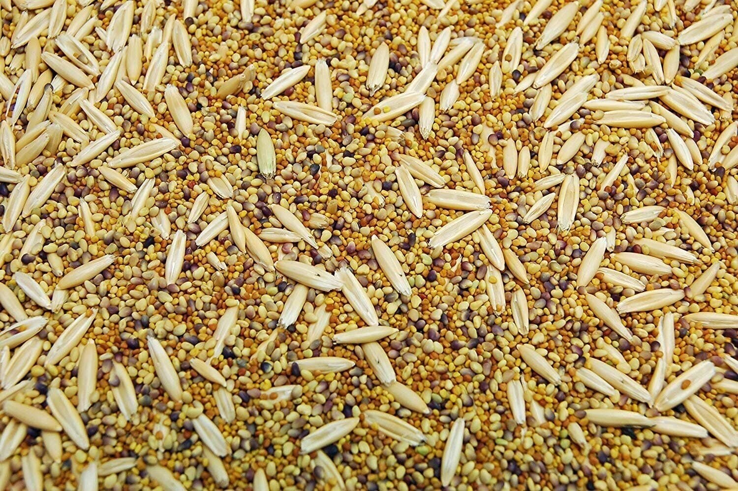 Wildlife Food Plot Blend & Forage Seed Mix by Eretz – CHOOSE SIZE! Oregon Grown