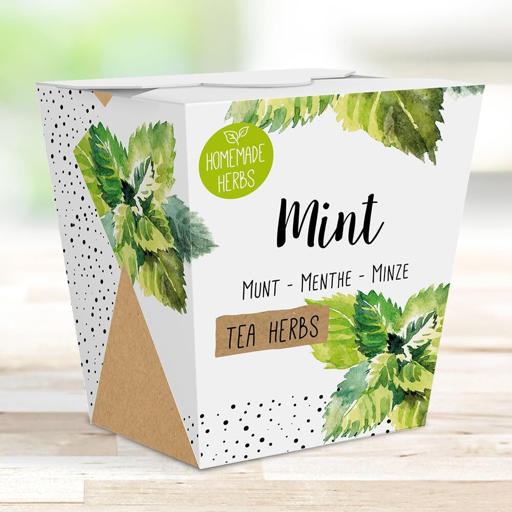 Homemade Herb Kit – All-in-One Tea Mint Growing Kit – Indoor Garden Planter