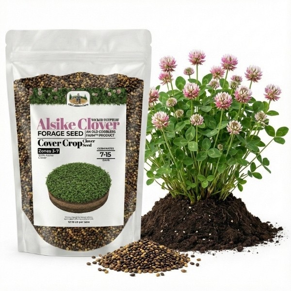 Old Cobblers Farm™ Wicked Tuff Turf Alsike Clover Seed – Pasture, Grazing, Lawn