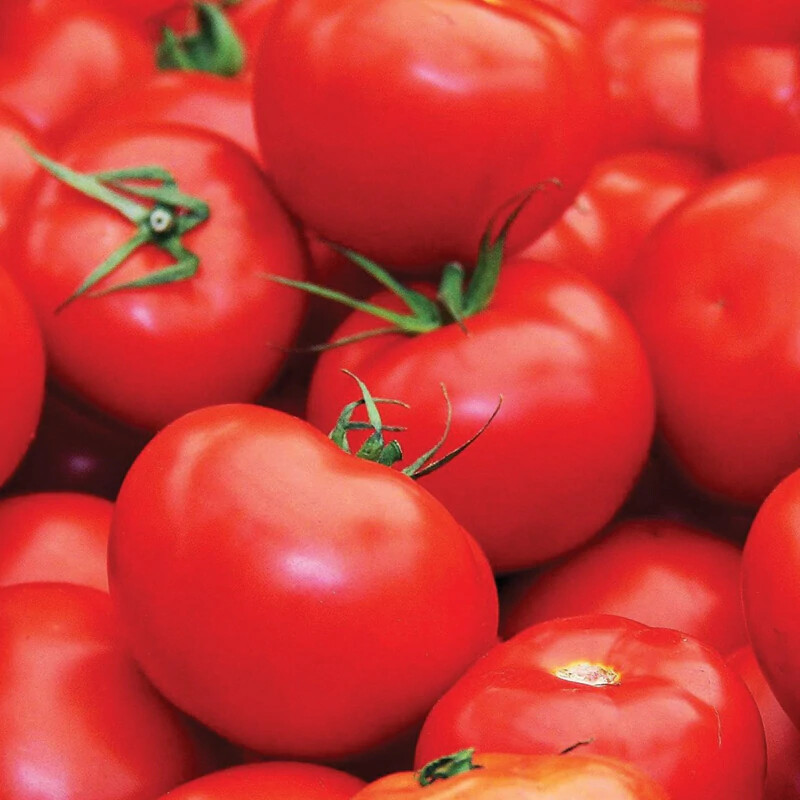 Floradade Tomato Seeds | Non-GMO | Free Shipping | Seed Store | 1295