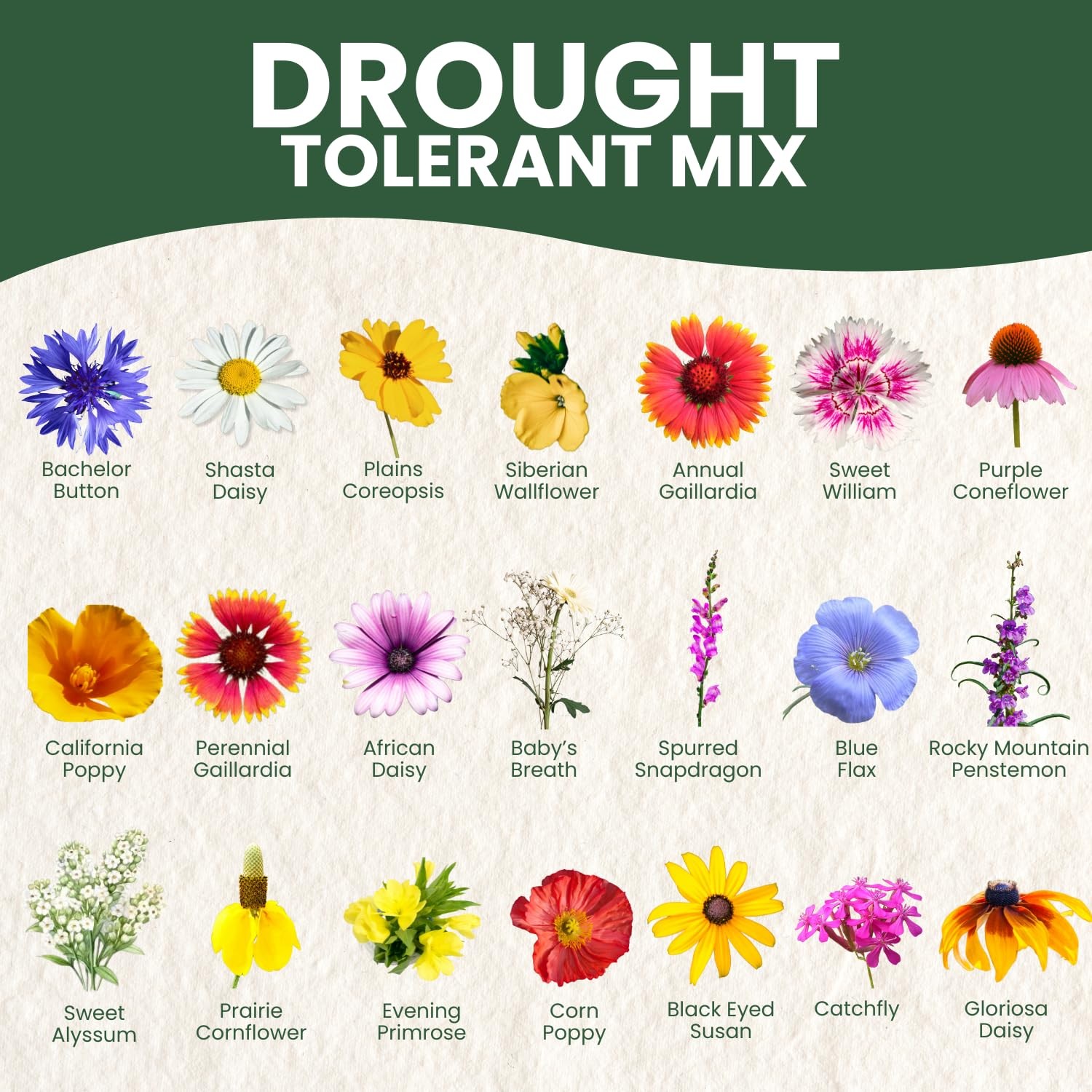Drought Tolerant Seed Mix 90,000 Seeds for Planting 4 Ounce Pouch