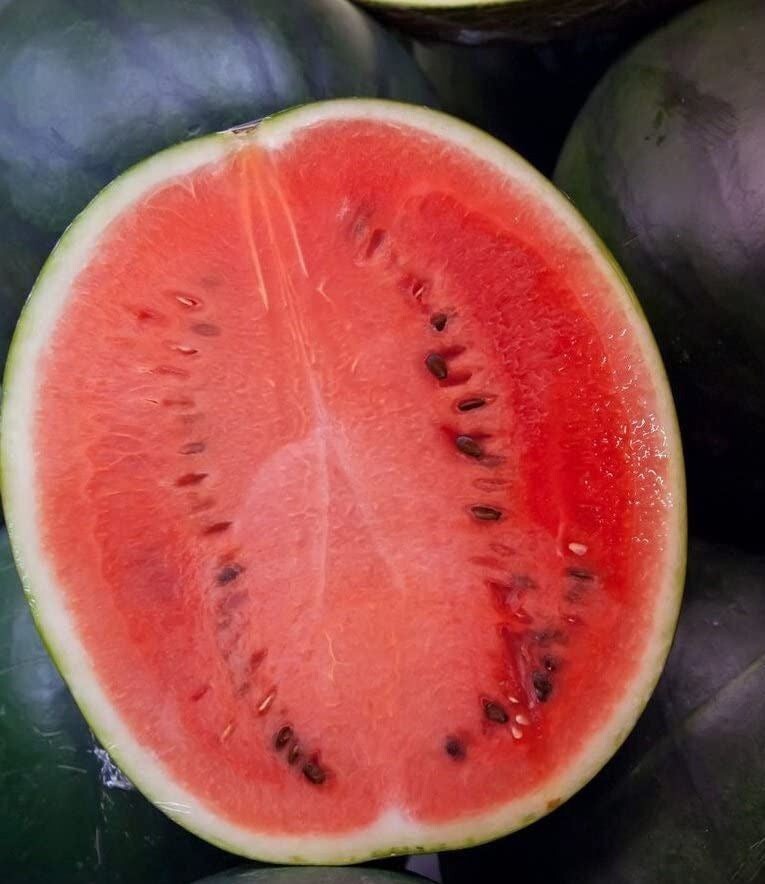 40 Black Diamond Watermelon Seeds- With Bonus! |Organic Non-GMO Heirloom