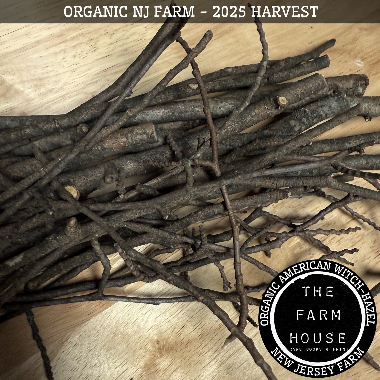 1 POUND FRESH TWIGS – AMERICAN WITCH-HAZEL (Hamamelis virginiana) ORGANIC