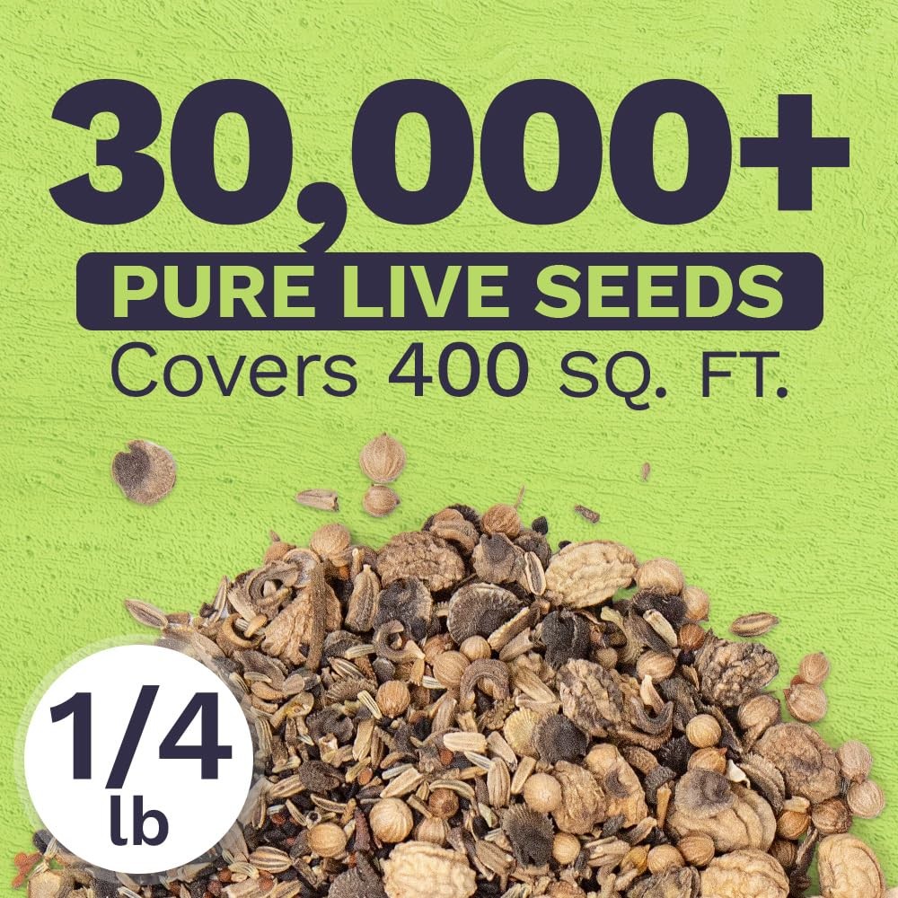 Wildflower Seeds Edible Flowers Mix – Bulk 1/4 Pound Bag Over 30,000 Open Pol…