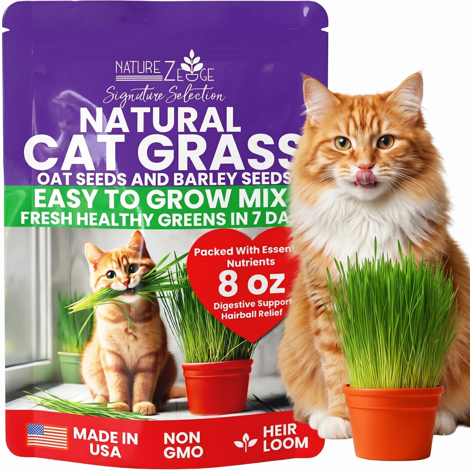Premium Cat Grass Seeds for Indoor Cats, Non GMO – 1/2 lb Oat & Barley Grass …