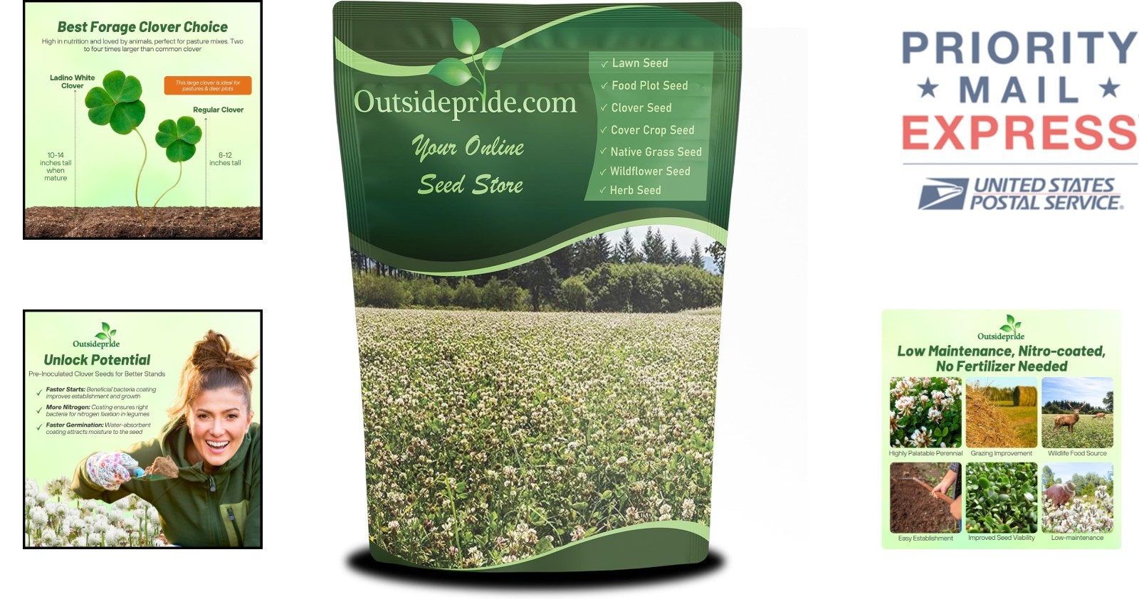 Perennial White Clover Seed – 10 lbs for Soil Enhancement & Drought Tolerance