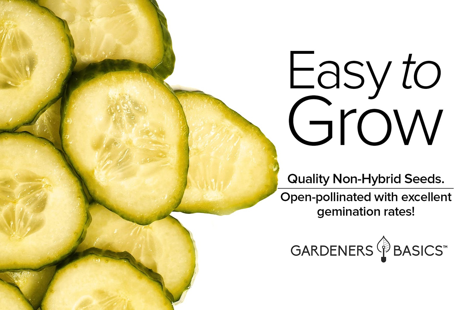 Lemon Cucumber Seeds for Planting (Cucumis sativus) Heirloom, Non-GMO Vegetab…