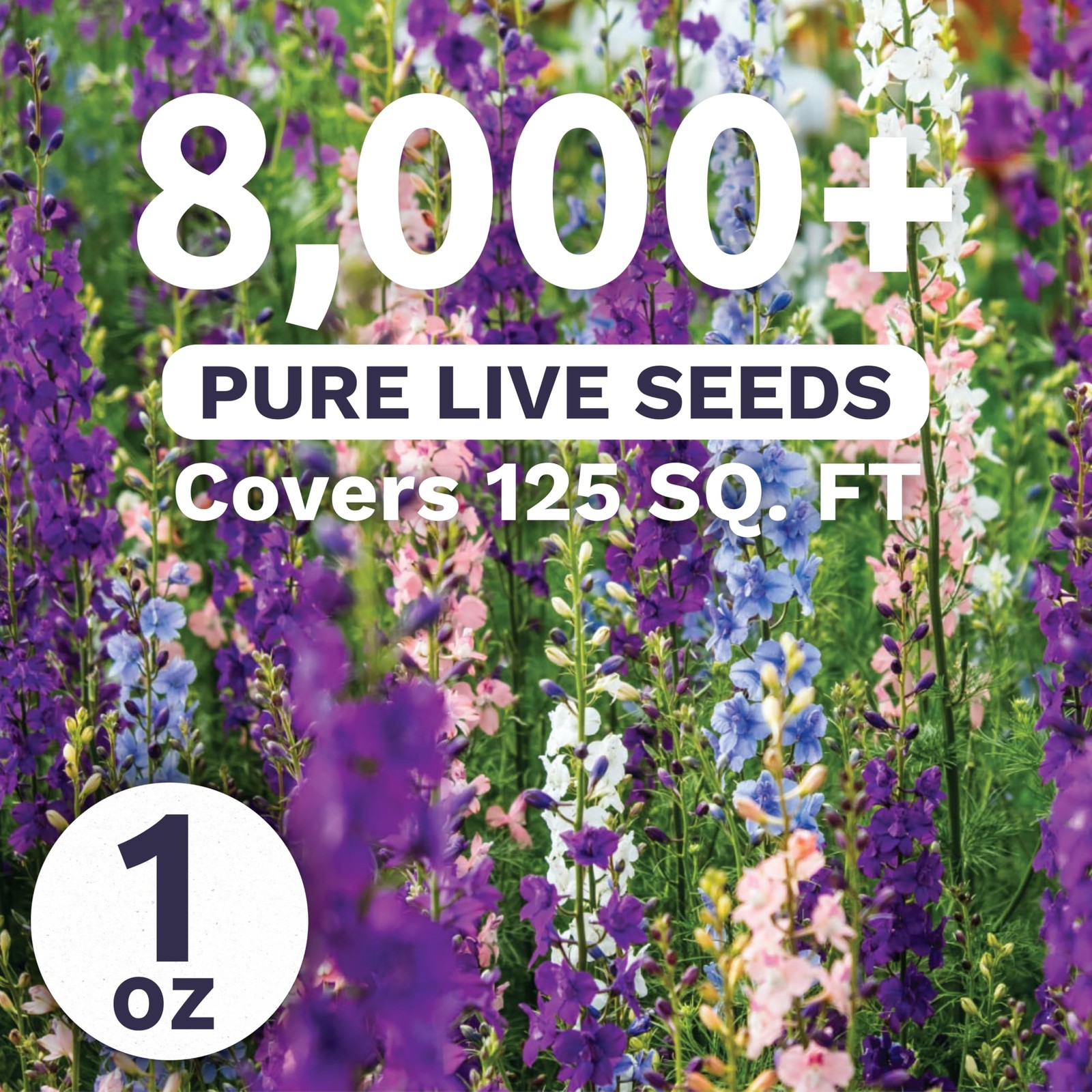 Rocket Larkspur – Imperial Mix – Large 1 Ounce 1 Pouch (8,000 Seeds)