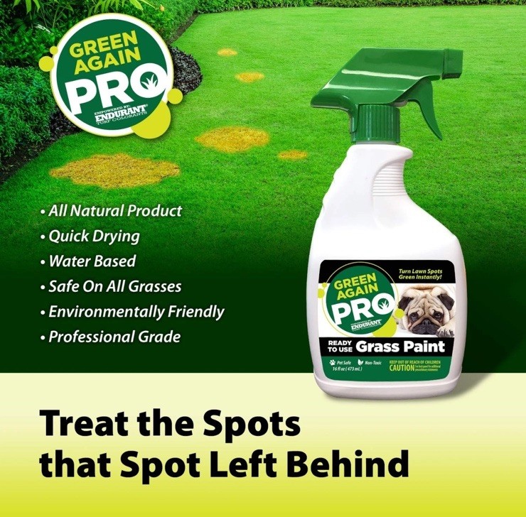Pre-Mixed Grass and Turf Paint – All Natural Pet-Friendly Lawn Colorant Turns…
