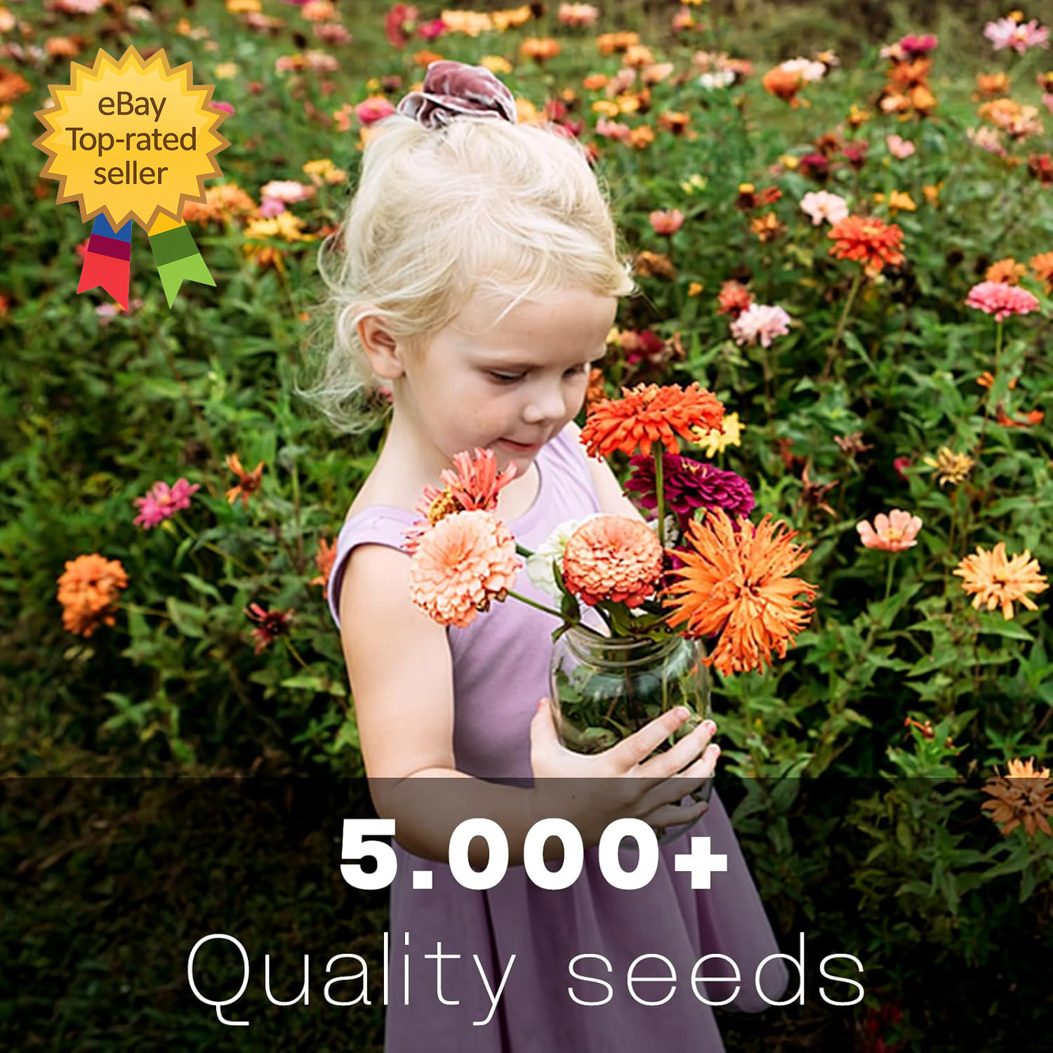 Zinnia Seeds Bulk 5,000+ Outdoor Flower for Planting Giant Zinnia Seeds for 20