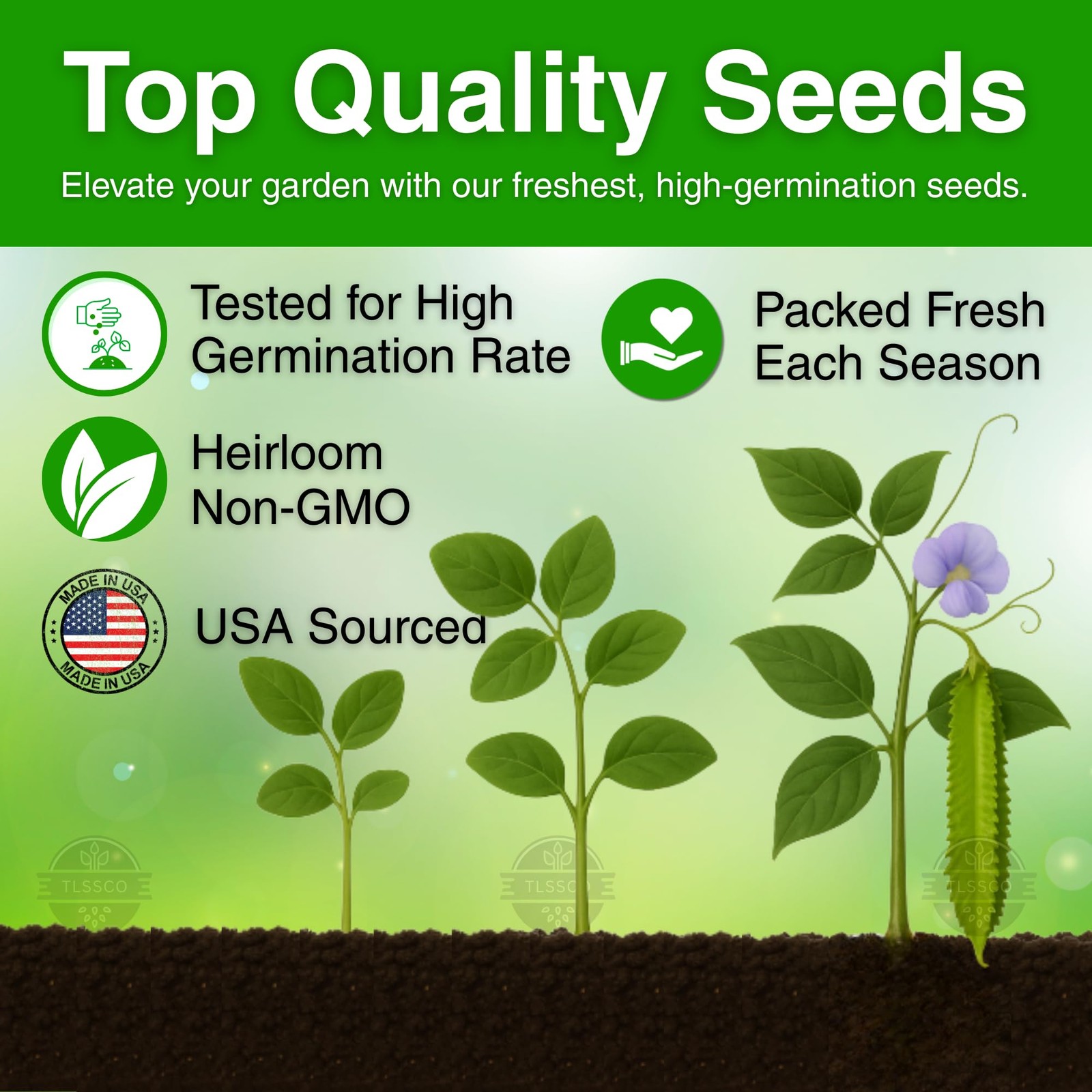 50+ USA Premium Winged Bean Seeds for Planting, Non-GMO â€“ Green