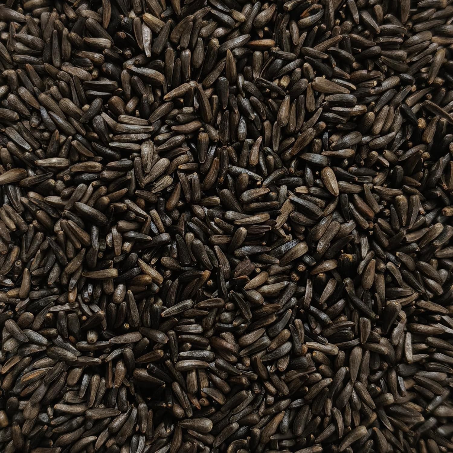 Happy Wings Nyjer/Thistle Seeds Wild Bird Food – 10 Pounds I No Grow Seed I Bird